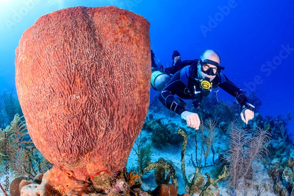 Fototapeta Sidemount diving on a Coral Reef