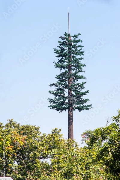 Fototapeta tree shape signal tower