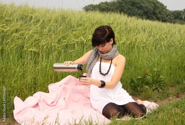 Obraz Picknick in der Wiese