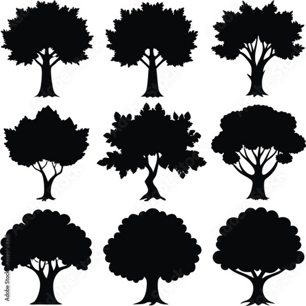 Fototapeta  A Lot of Silhouette Elm tree  vector collection. 