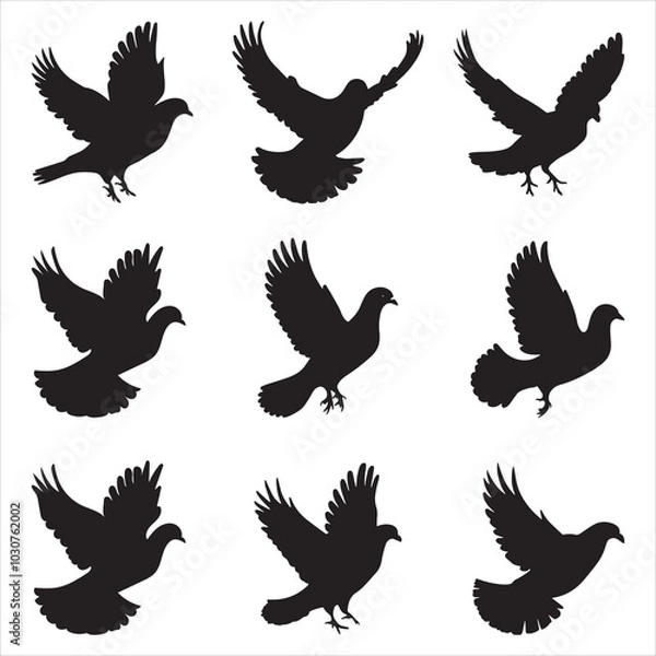 Fototapeta Nine Black Dove Silhouettes in Flight Vector Art