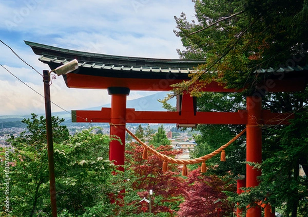 Fototapeta tori gate tree branch fuji