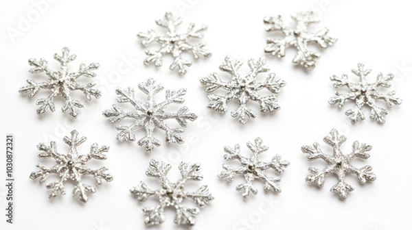 Obraz Close up Snow Flake