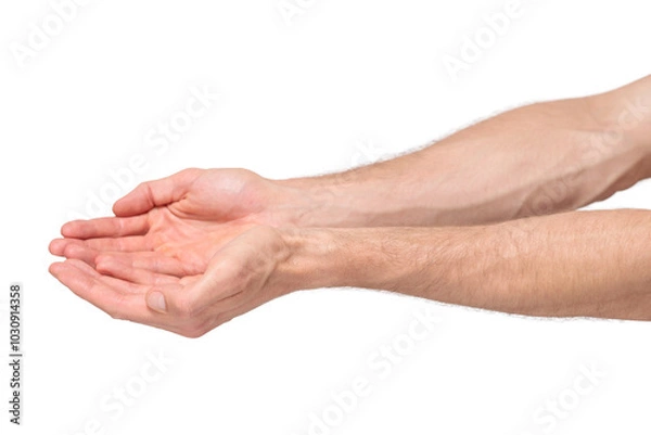 Fototapeta Side view of male hands clasped together in a begging or holding gesture, palms slightly cupped. The hands are isolated on a transparent background, PNG file, showing the profile of the gesture