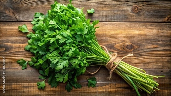 Obraz Fresh parsley chervil organic herbs from above on backdrop
