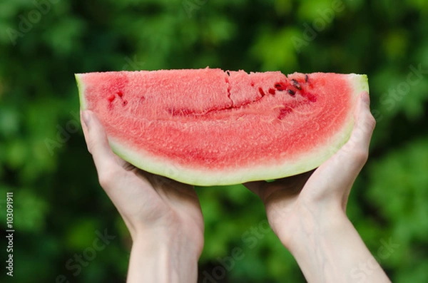 Fototapeta Summer and fresh watermelon theme: a man holds a slice of watermelon on a green background