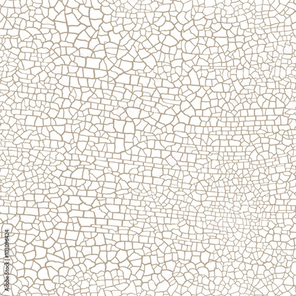Obraz cracked seamless pattern vector texture on white background