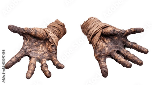Obraz Terrible zombie hands dirty hands of the mummy isolated on transparent background halloween theme
