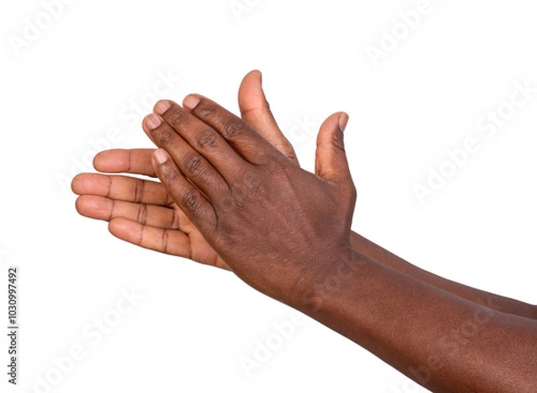 Fototapeta Man clapping his hands isolated on white or transparent background