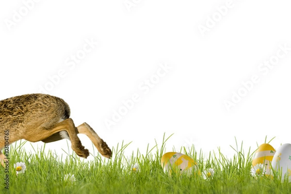 Obraz Happy Easter; easter bunny