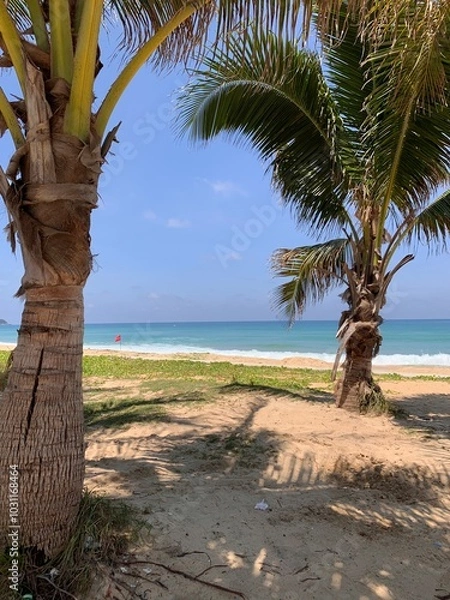 Obraz Beach in Phuket, Thailand.