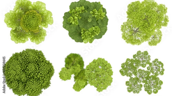 Fototapeta Diverse Green Tree Top Views Showcasing Unique Patterns and Textures Generative AI
