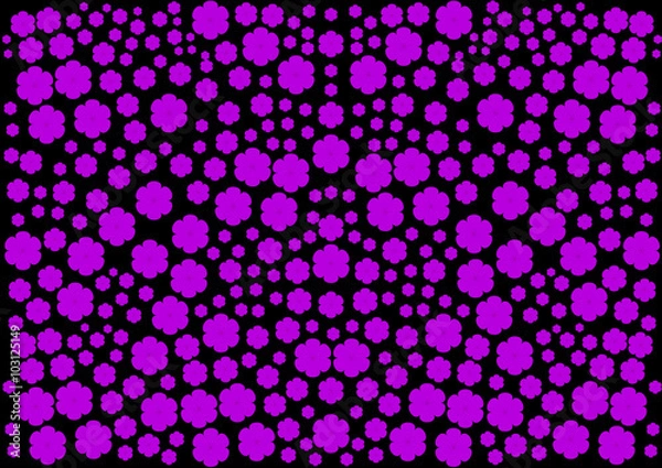 Fototapeta delicate cherry blossoms on a black background