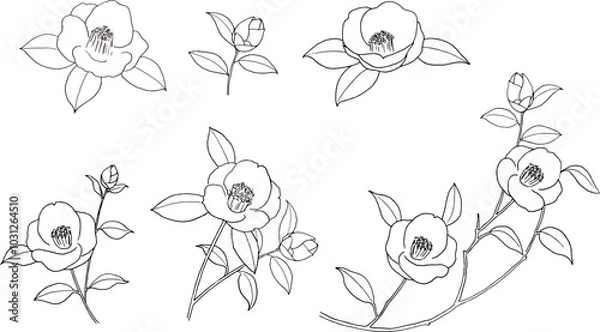 Fototapeta 椿の線画ベクターイラストセット