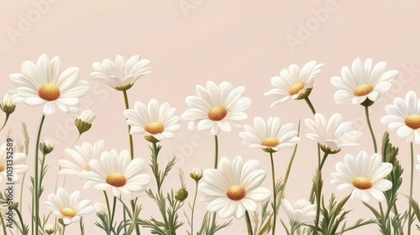 Obraz Beautiful Field of White Daisies in Bloom Against a Soft Pastel Background Capturing the Essence of Spring and Nature's Tranquility