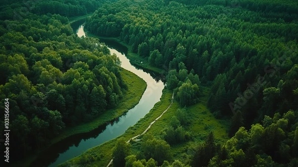Fototapeta Serene Aerial View of a Lush Green Forest and River