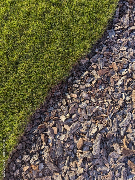Fototapeta Top view of green grass and pine bark for natural background. Copy space.
