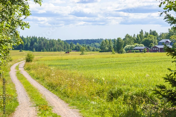 Fototapeta Summer fields