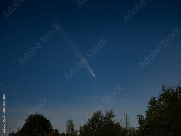 Fototapeta Comet Tsuchinshan ATLAS C 2023 A3 on the sky seen around Germany on the 15. October 2024. The tail is very long and visible during the night. Astrophotography in Europe.