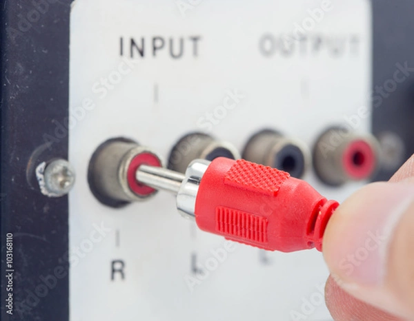 Obraz Input jacks with rca cable