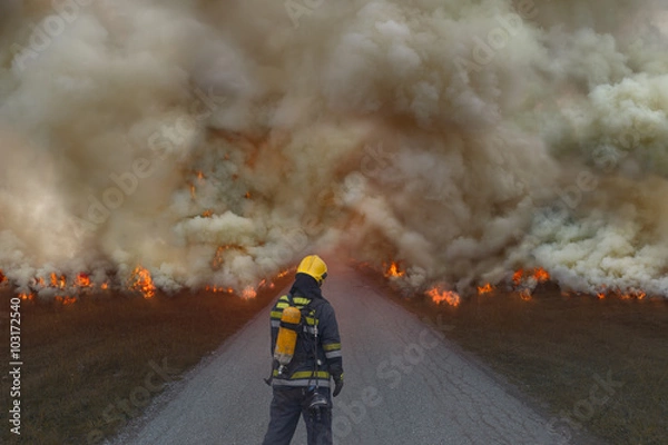 Fototapeta Strażak próbuje zapobiec rozprzestrzenianiu się klęski żywiołowej