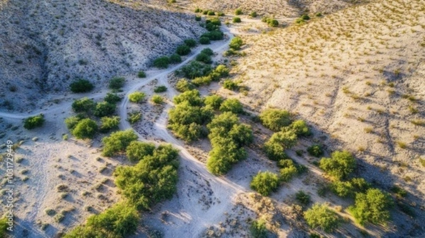 Fototapeta Aerial view of a desert landscape with winding paths and sparse vegetation.
