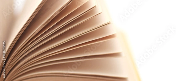 Fototapeta An open old book with pages are turned as wing closed up isolated on white