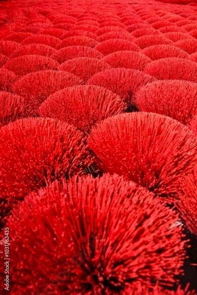 Obraz Weihrauchstäbchen Vietnam