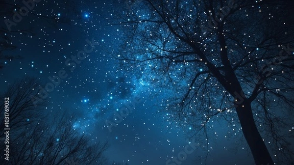 Fototapeta Starry Night Sky with Silhouetted Trees