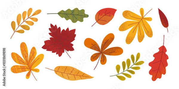 Fototapeta Collection of various hand drawn autumn leaves with grunge texture. Template of maple, oak, chestnut, rowan. Trendy flat illustration.