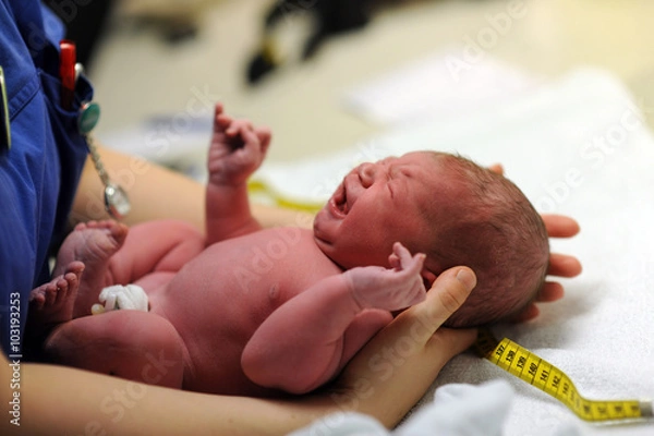 Obraz Dziecko zaraz po urodzeniu