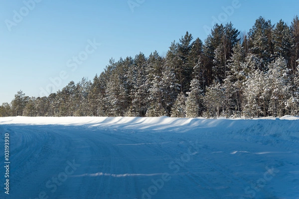 Obraz winter landscape