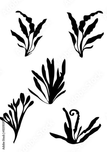 Fototapeta vector plants silouete