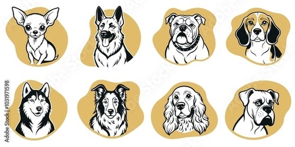 Fototapeta A collection of dog breeds, including a chihuahua, a bulldog, a beagle