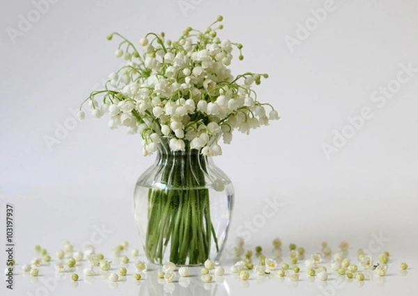 Obraz Lily of the valley flowers in a vase. Romantic floral still life with bouquet of spring flowers.