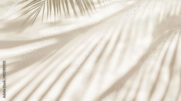 Fototapeta Elegant Shadows of Tropical Leaves on Light Background