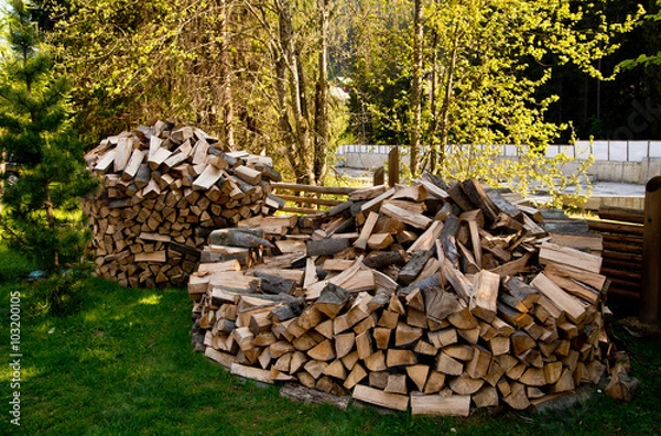 Obraz Firewood