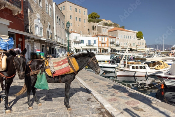 Obraz In the picturesque harbor of Hydra, Greece, donkeys carry supplies along cobblestone streets, surrounded by charming buildings and boats under clear skies.