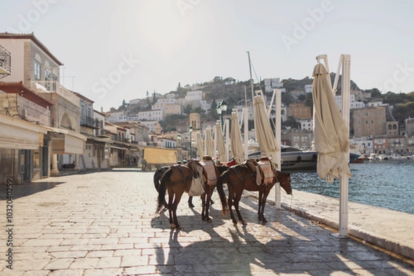 Obraz On Hydra Island in Greece, two donkeys are tied near the waterfront, highlighting the island's unique transport traditions amidst a picturesque backdrop of buildings and hills.