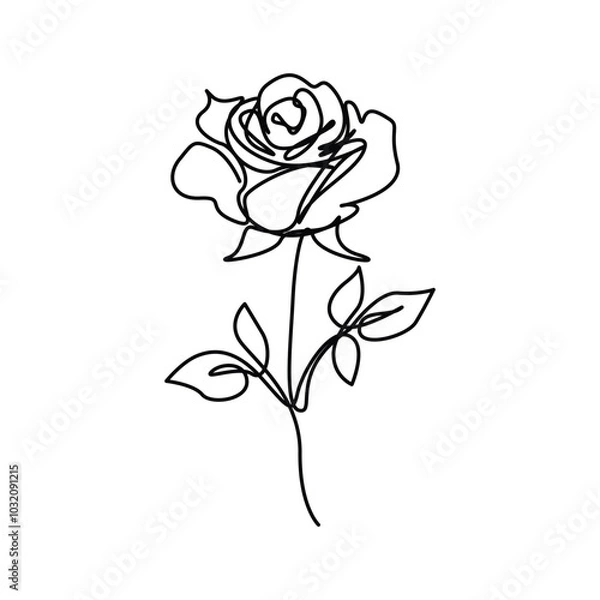Obraz Continuous Line Drawing Of Rose Flowers Black Sketch Isolated on White Background. Flowers Rose One Line Illustration for Minimalist Design.