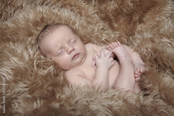 Obraz newborn sleeping