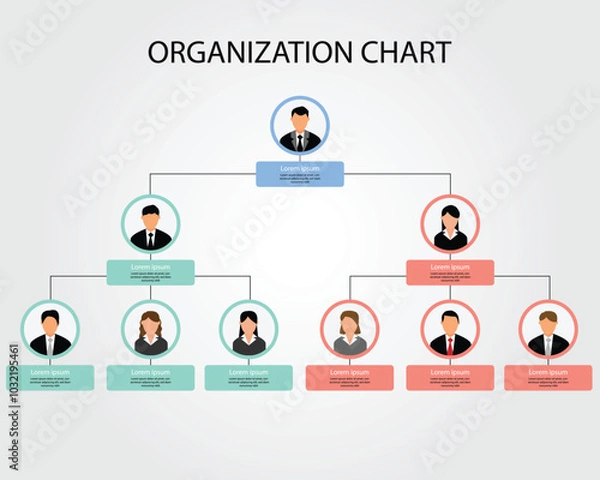 Obraz Organization chart business template for company to show the structure 