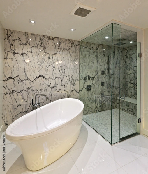 Obraz Master bathroom