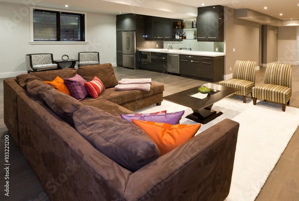 Obraz Entertainment room