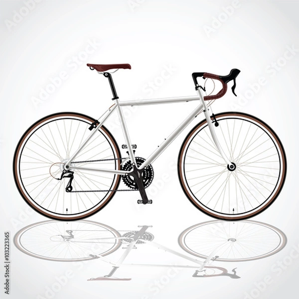 Obraz White bicyle