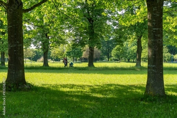 Fototapeta Peaceful park scene with a family walking under lush green trees on a sunny day