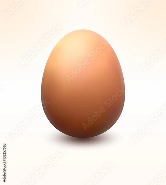 Fototapeta Realistic egg, vector illustration.