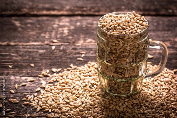 Obraz barley and hops on wooden table , beer