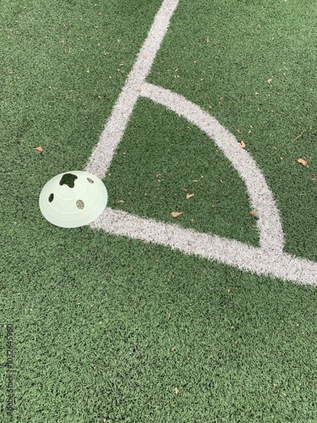 Obraz A close-up shot of a corner area on a green sports field marked with white lines, most likely a soccer field. A light green plastic training cone is placed near the corner line.