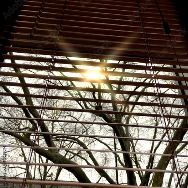 Fototapeta Sun is shining